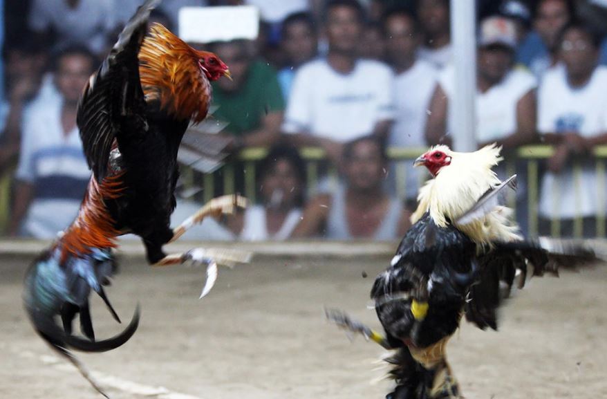 Hướng Dẫn Áp Dụng Tương Sinh - Tương Khắc Trong Thực Chiến