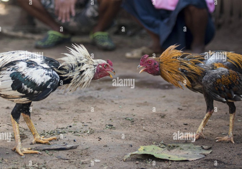 Kỹ Thuật Luyện Tập (Om, Bóp, Tắm, Phơi)