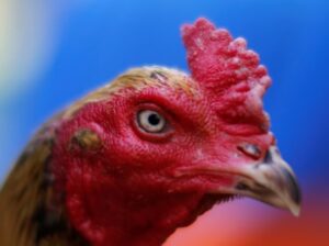 Giải Quyết Vấn Đề Nâng Cao & Lời Khuyên Chuyên Gia từ Trang chủ Bj38