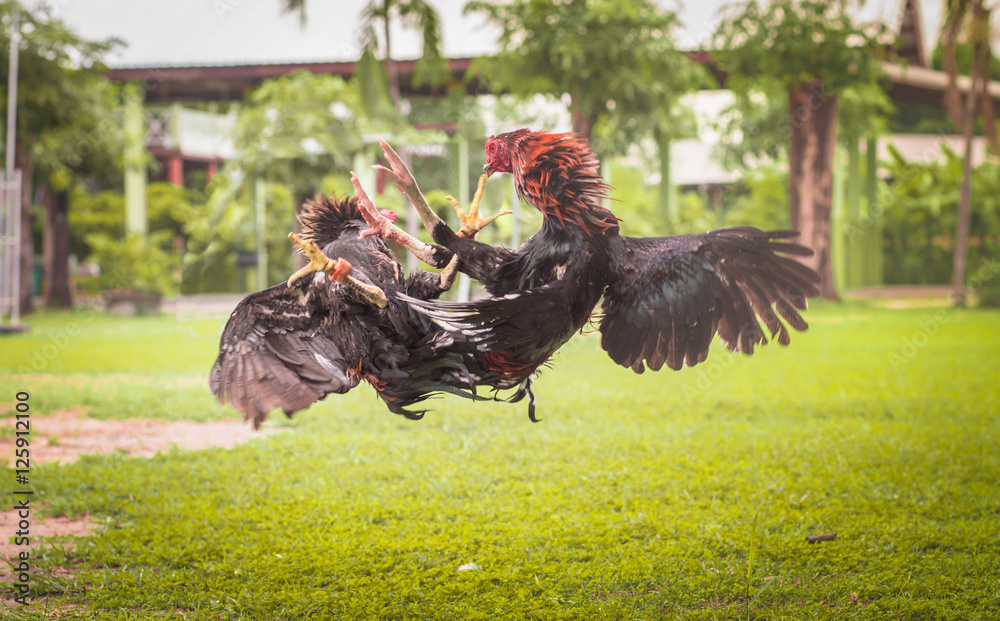 Tại Sao Việc "Xem Chân" Lại Quyết Định 70% Chiến Thắng?
