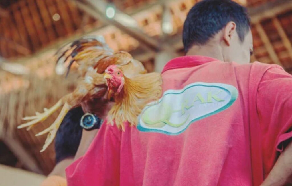 Quy Trình Chọn Lọc Chi Tiết (Hướng Dẫn A-Z)