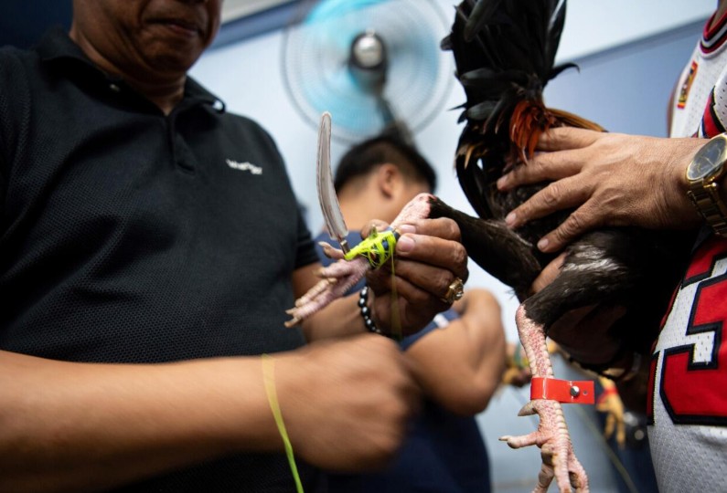 Giai đoạn 2: Thực đơn "Cơm mẹ nấu" - Chế độ dinh dưỡng chuẩn lực sĩ